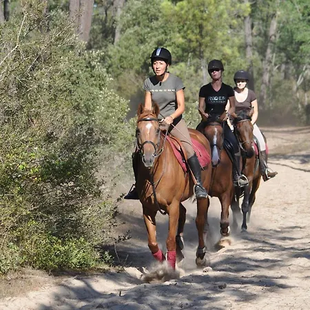 Maison 4-5 Pers A Jean De Monts Avec Piscine, Proche Et Foret - Fr-1-323-478 度假居 *