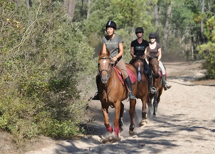 Maison 4-5 Pers A Jean De Monts Avec Piscine, Proche Et Foret - Fr-1-323-478 度假居 *